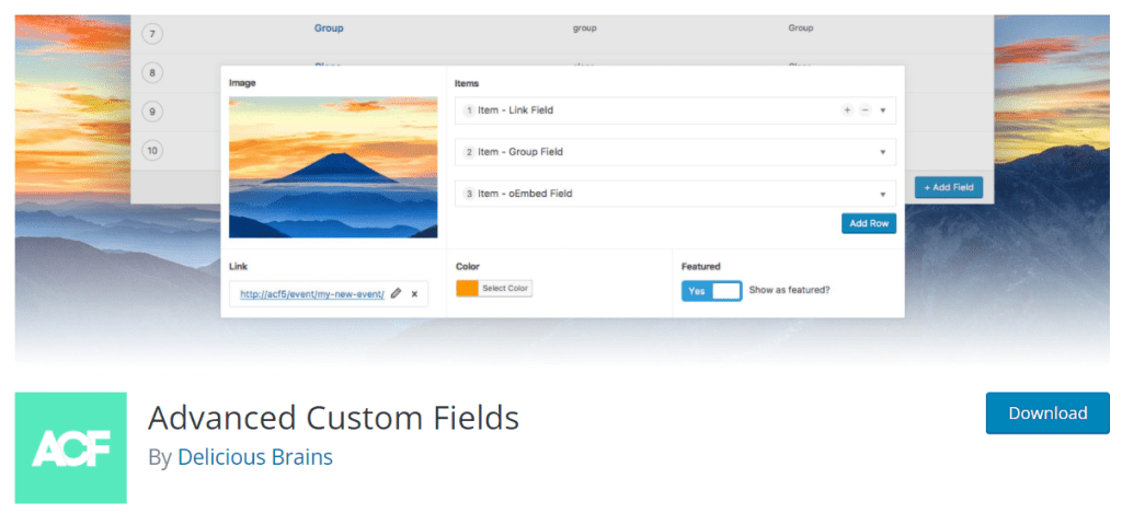 advanced custom fields ACF 