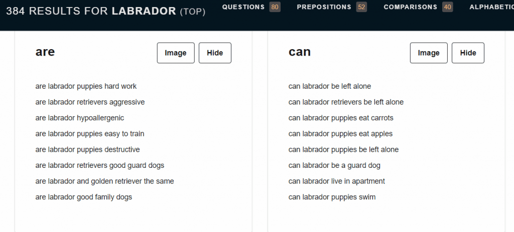 answer the public questions