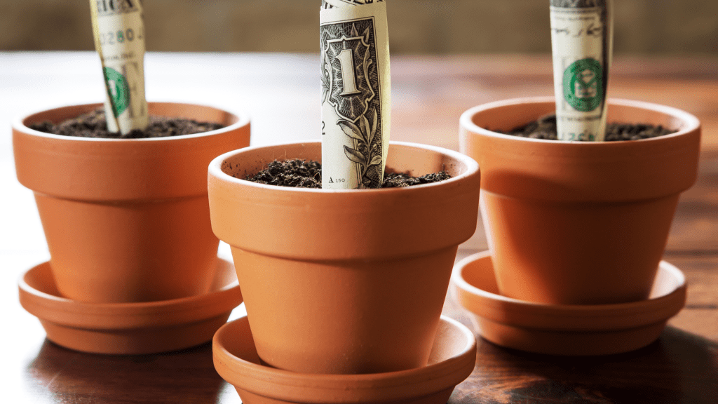 money plants representing multiple niches websites