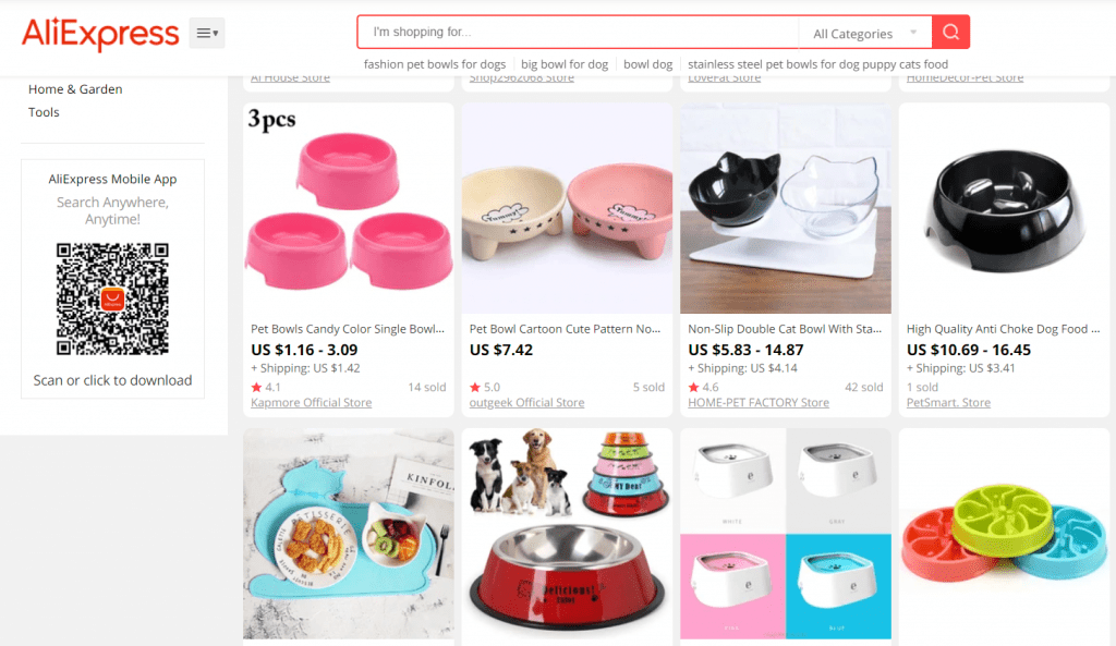 monetize blog with dropshipping