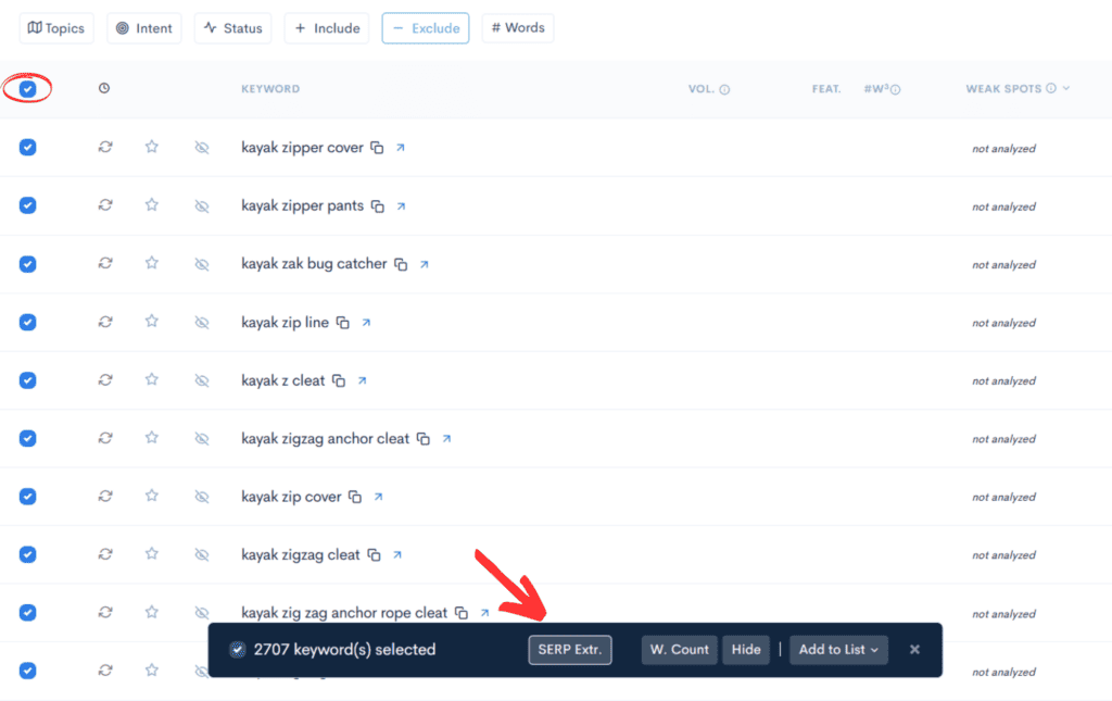 lowfruits.io export low competition keywords