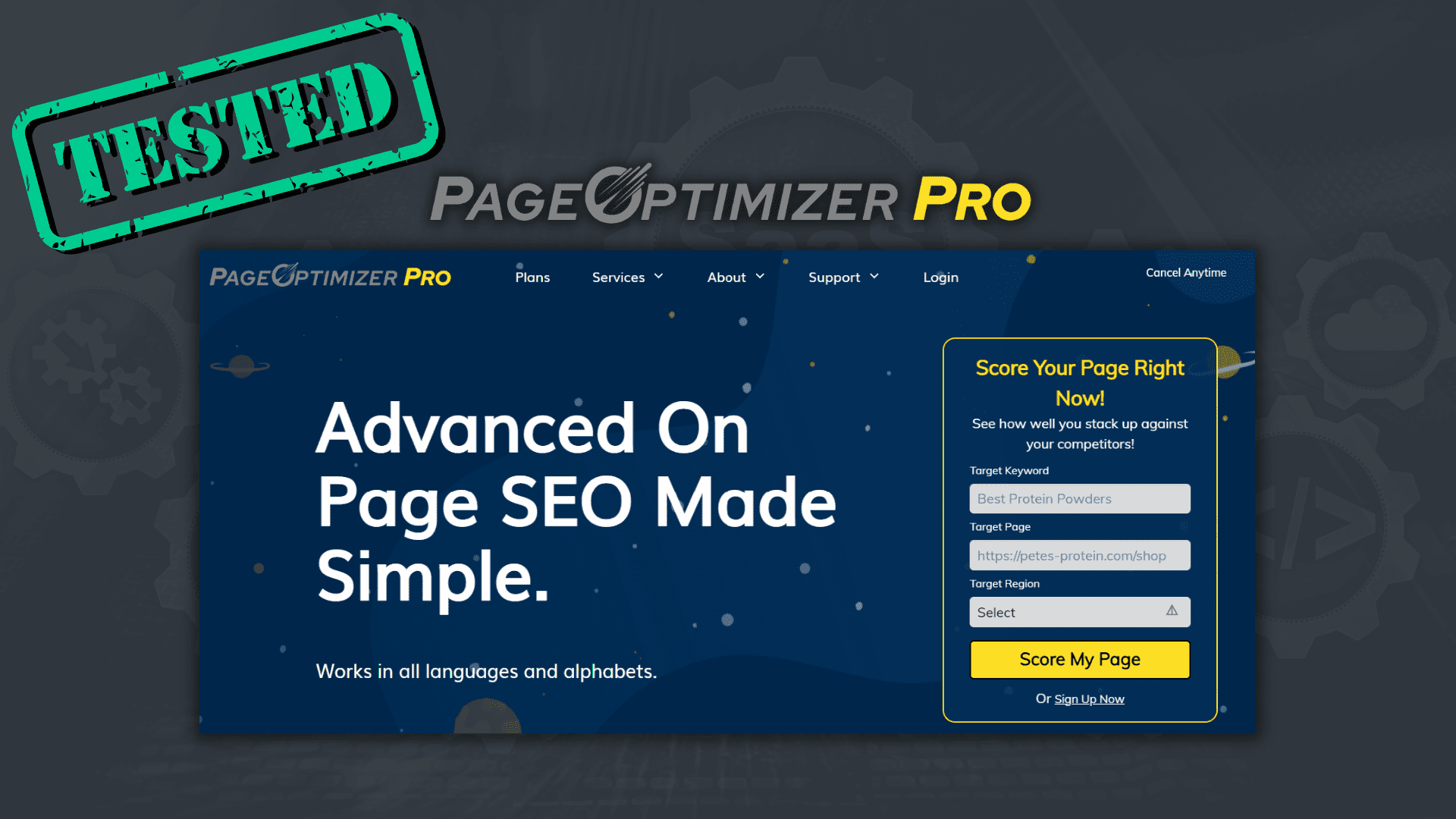 page optimizer pro review