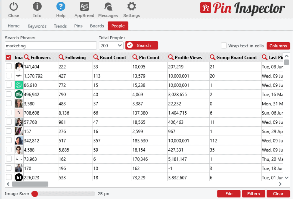 pin inspector pinner analyzer