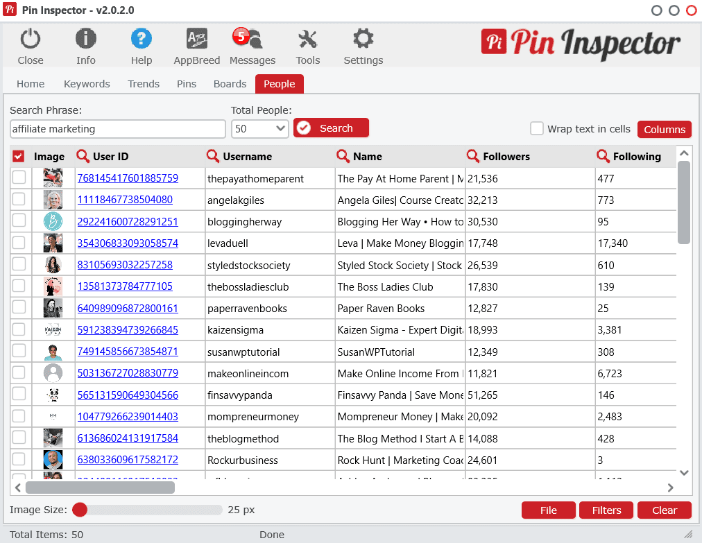 pin inspector search for top accounts