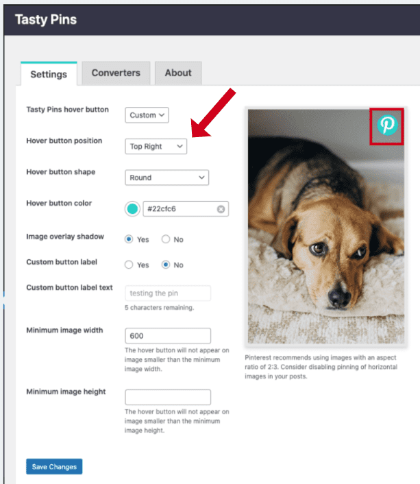 pinterest hover button