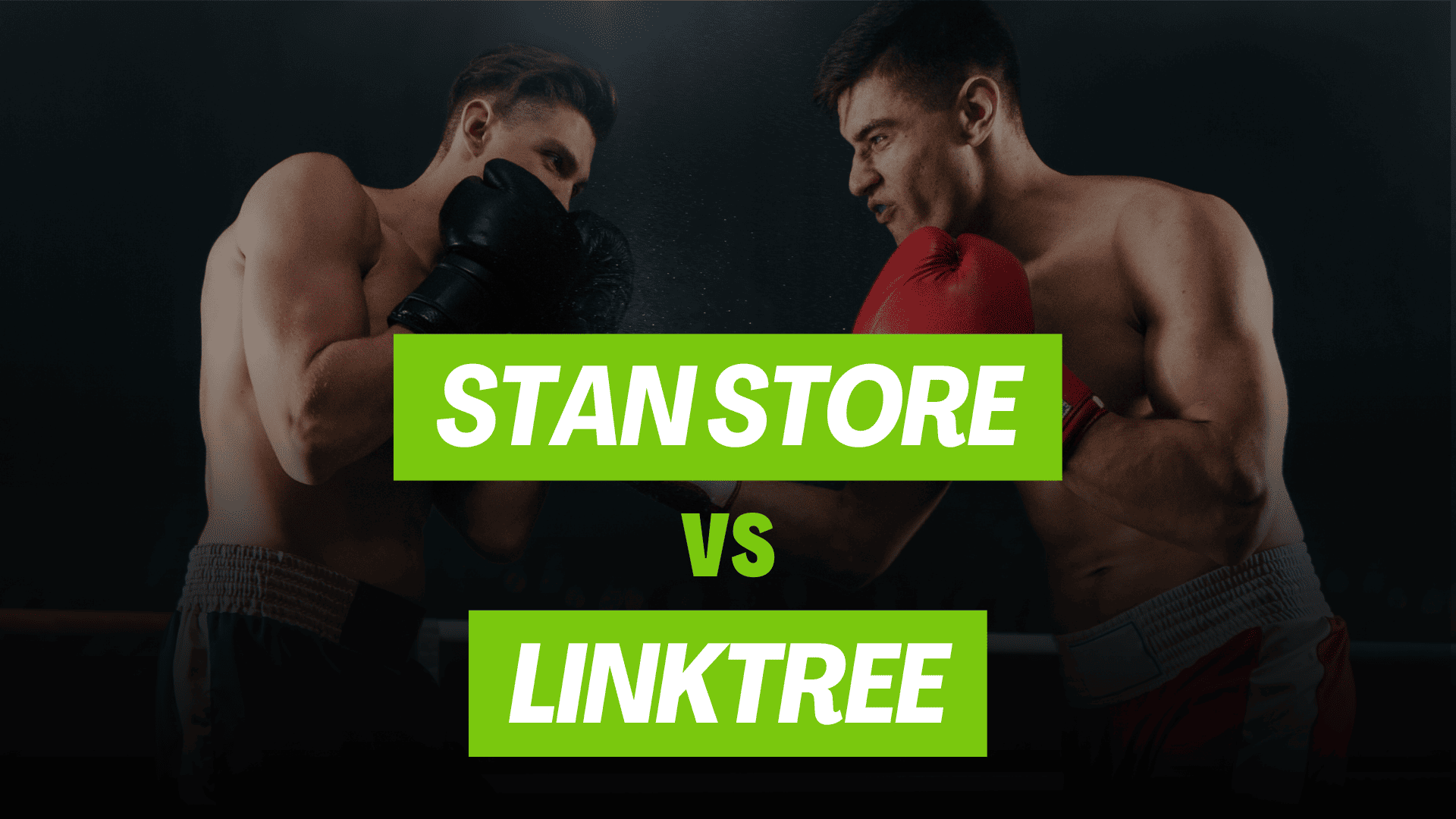stan store vs linktree featured